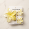 3pcs Set Claw Clip