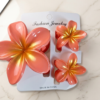 3pcs Set Claw Clip