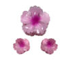 3pcs Flower Claw Clip Set