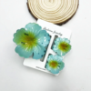 3pcs Flower Claw Clip Set