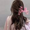 Jelly Claw Clip