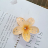 Rhinestone Clip