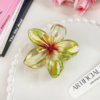 8cm Transparent Claw Clip