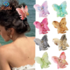 Medium-Sized Butterfly Clip
