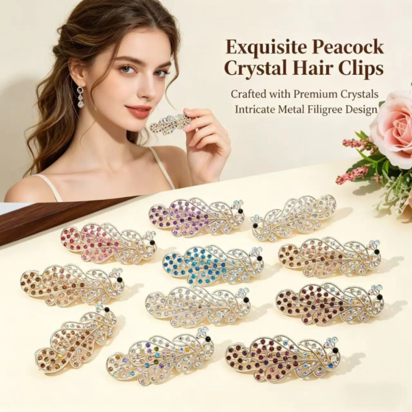 Multicolour Hair Clip