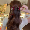 Tassel Pearl Diamond Clips